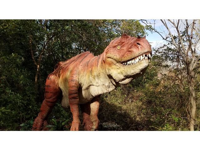 ジュラ紀を代表する大型肉食恐竜アロサウルスです