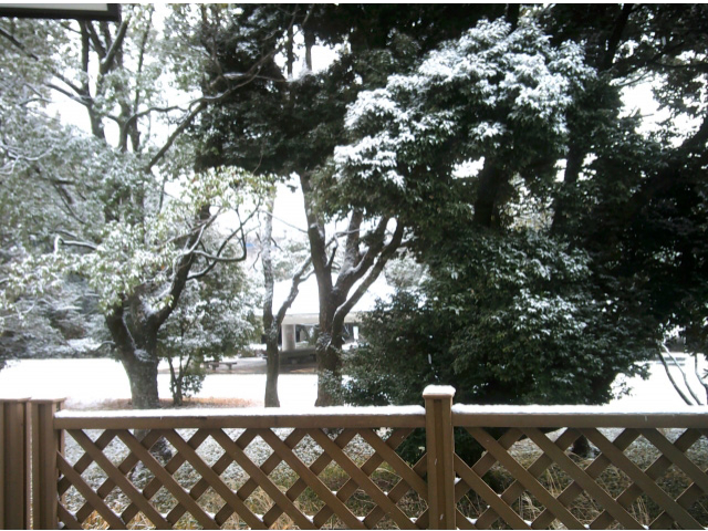 ウッドデッキからの景色です。