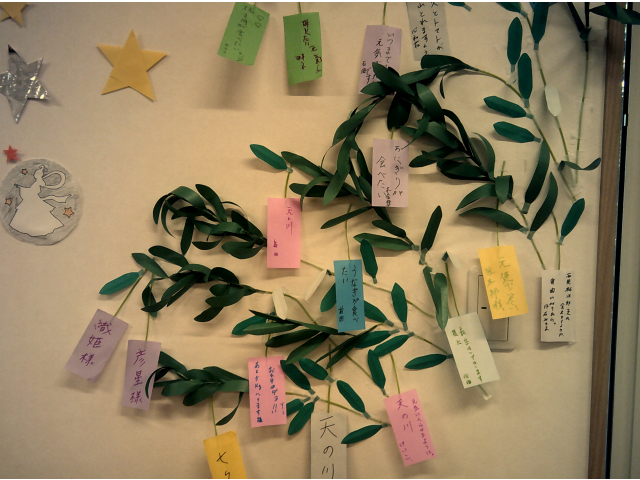 それぞれに願いを込めて…