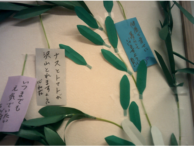 スタッフの願い事は「茄子とトマトが沢山採れますように」