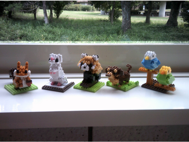 新加入のリス・オコジョ・レッサーパンダ・ダックスフンド・インコです(^^♪