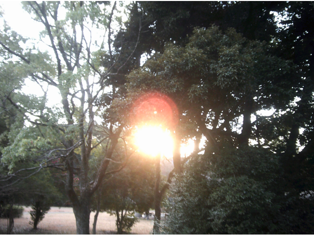 初日の出ならぬ初出勤時の日の出です🌞