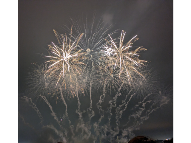 いよいよ開幕。白金っぽい光で統一されていて、派手というより綺麗さで圧倒されるタイプの花火。これからの展開も楽しみ。とても華やか。