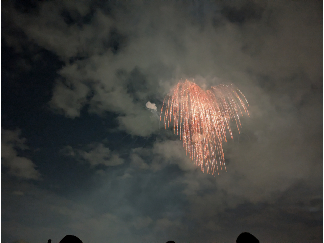 柳という種類の花火です。中心から光が広がり、地面に向かって長く、ゆっくりと尾を引いて落ちていくのが良い！（この種類の花火が、個人的には好みです）